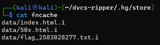 image-20231205154907582