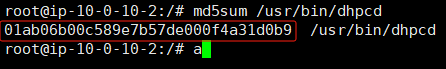 image-20240508000535253