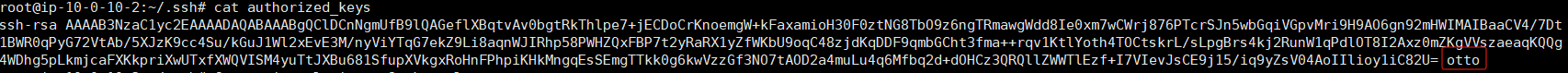 image-20240508011319126