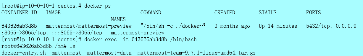 image-20240731143752714