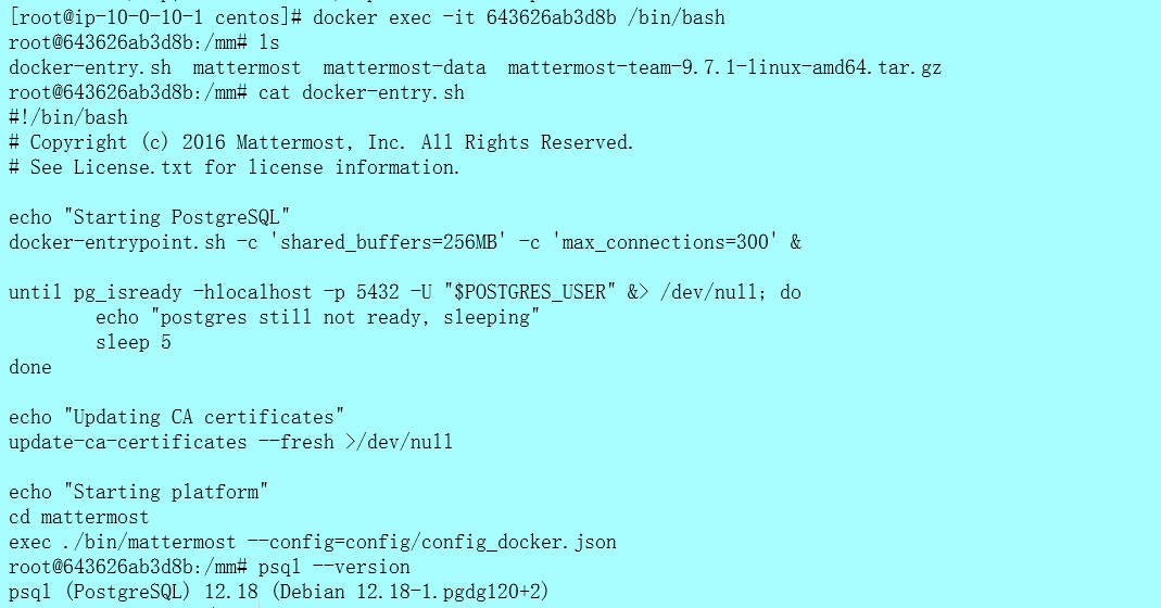 image-20240731143812051