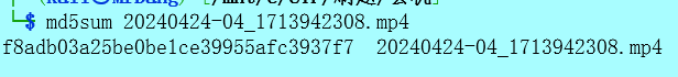 image-20240731155014974