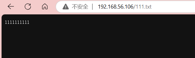 image-20241021022628734