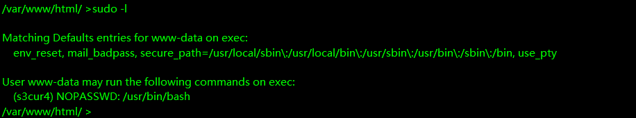 image-20241021025834028