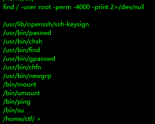 image-20241024023332773