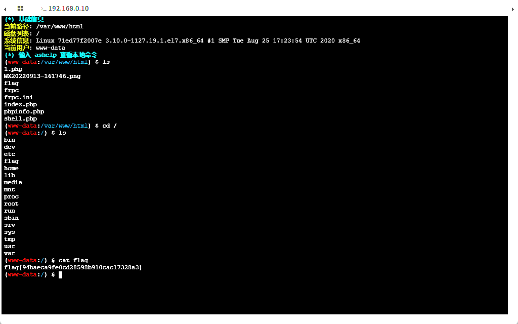 image-20241129230345402