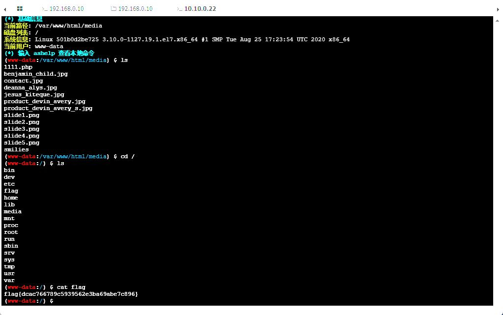 image-20241129235612923